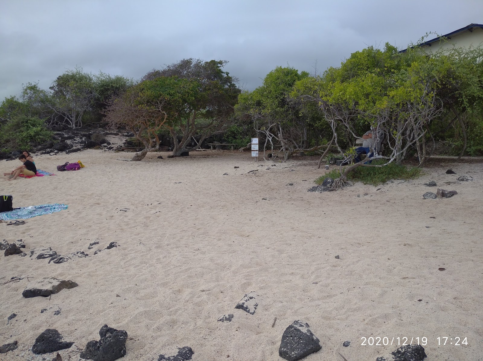 Foto de Playa de la Estacion área selvagem
