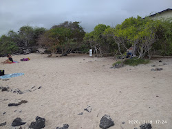 Playa de la Estacion'in fotoğrafı vahşi alan