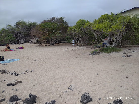 Playa de la Estacion