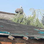 Photo n°2 de l'avis de Jonas. fait le 02/08/2023 à 06:39 sur le  Pension & Gasthof Storchennest à Userin