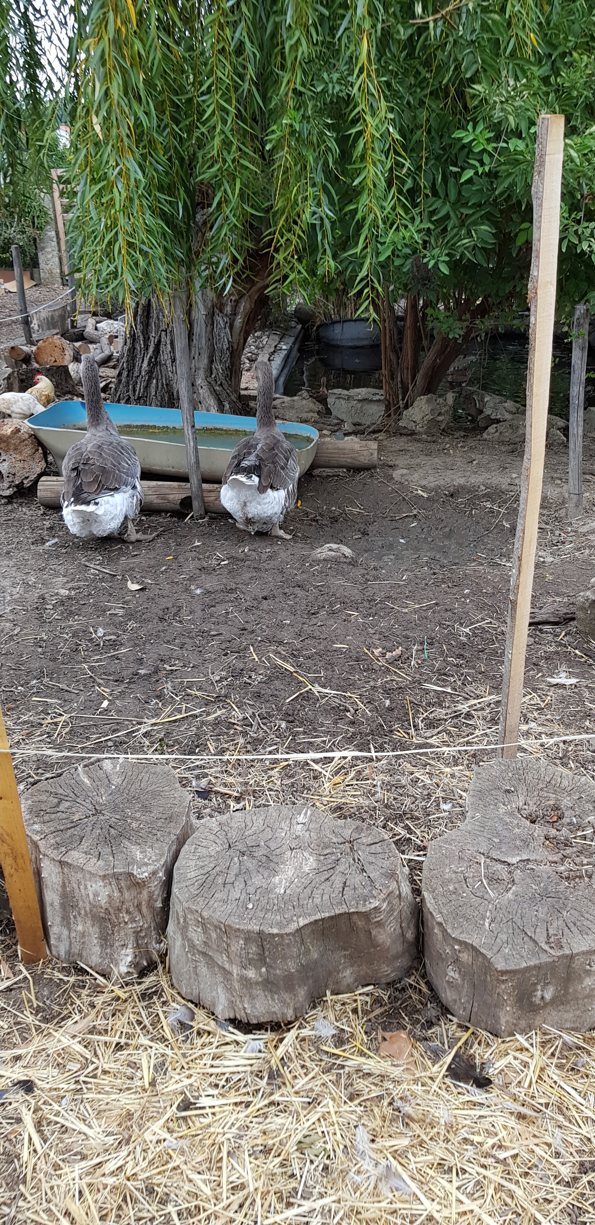 Photo n° 1 de l'avis de G4B_-.N fait le 09/11/2019 à 13:29