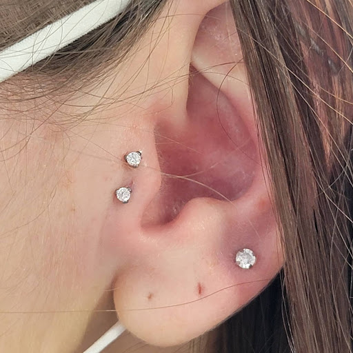 Explore succulent tattoo ideas, creative tattoo ideas in Sarasota, available at Z-Edge Tattoo and Body Piercing North Shop