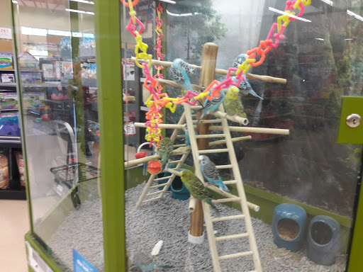 Pet Supply Store «Petco Animal Supplies», reviews and photos, 17200 Southcenter Pkwy #100, Tukwila, WA 98188, USA