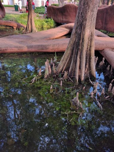 Tourist Attraction «Leonhardt Lagoon Nature Walk», reviews and photos, 1121 1st Ave, Dallas, TX 75210, USA