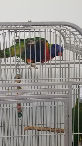Pet Store «Adventure Birds of Bon Aqua», reviews and photos, 9600 TN-46, Bon Aqua, TN 37025, USA