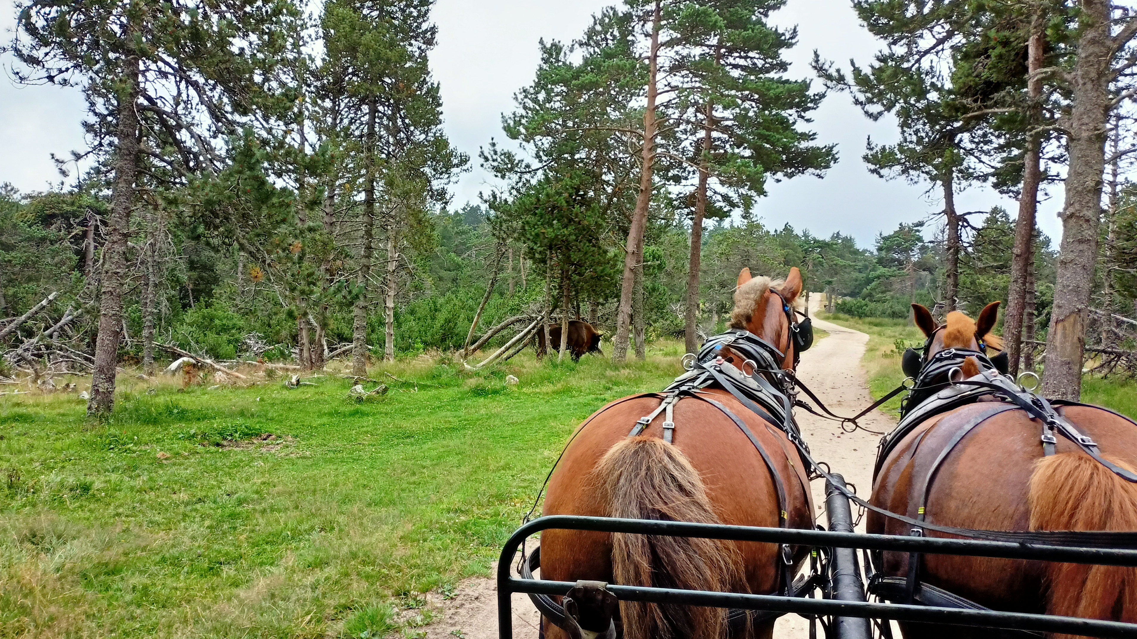 Photo n° 3 de l'avis de Karim.- fait le 02/08/2021 à 13:02