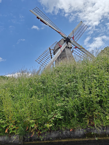 La Maison du Marais – Anne Thomaes