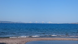 Photo de Gribovo lepanto avec baie longue
