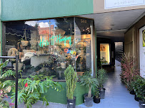 Trestman Chiropractic - Photo 2 - Car repair in San Francisco, CA, San Francisco