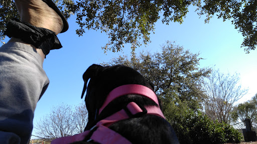 Park «Morse Park Landing», reviews and photos, 4939 US-17 BUS, Murrells Inlet, SC 29576, USA