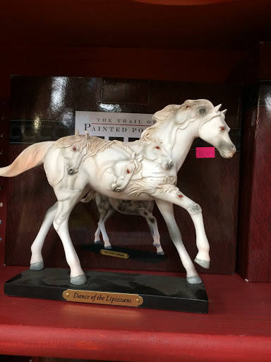 Pet Supply Store «The Stock Market Country Store», reviews and photos, 4479 Dover Pl SE, Conyers, GA 30013, USA