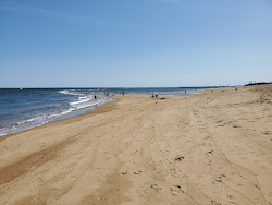 Plum Island beach'in fotoğrafı çok temiz temizlik seviyesi ile