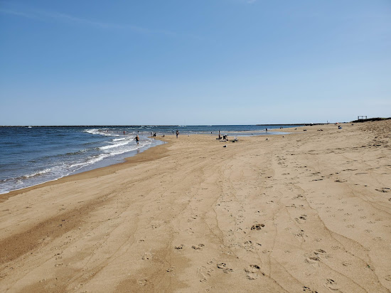 Plum Island beach