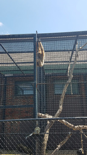 Public Swimming Pool «Tropicanoe Cove», reviews and photos, 1915 Scott St, Lafayette, IN 47904, USA