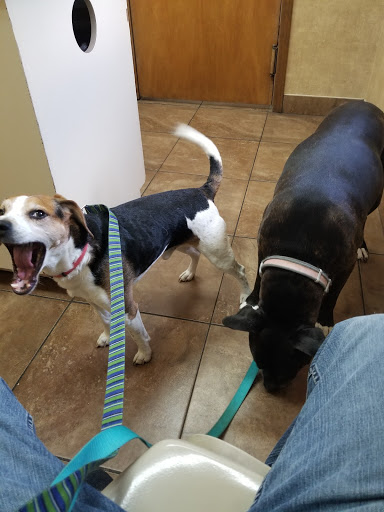 Animal Care Clinic Inc image