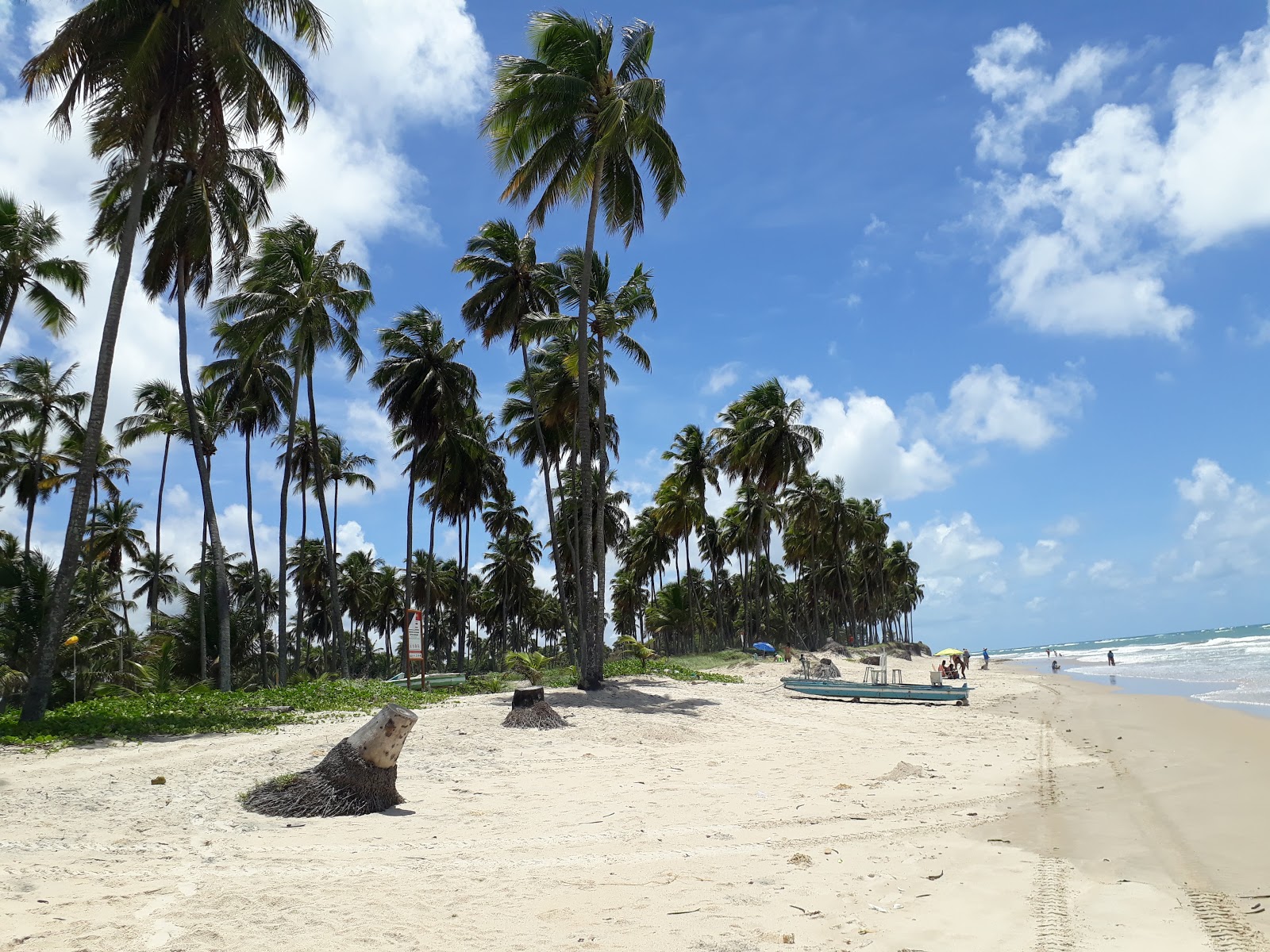 Zdjęcie Plaża Itapuama - popularne miejsce wśród znawców relaksu