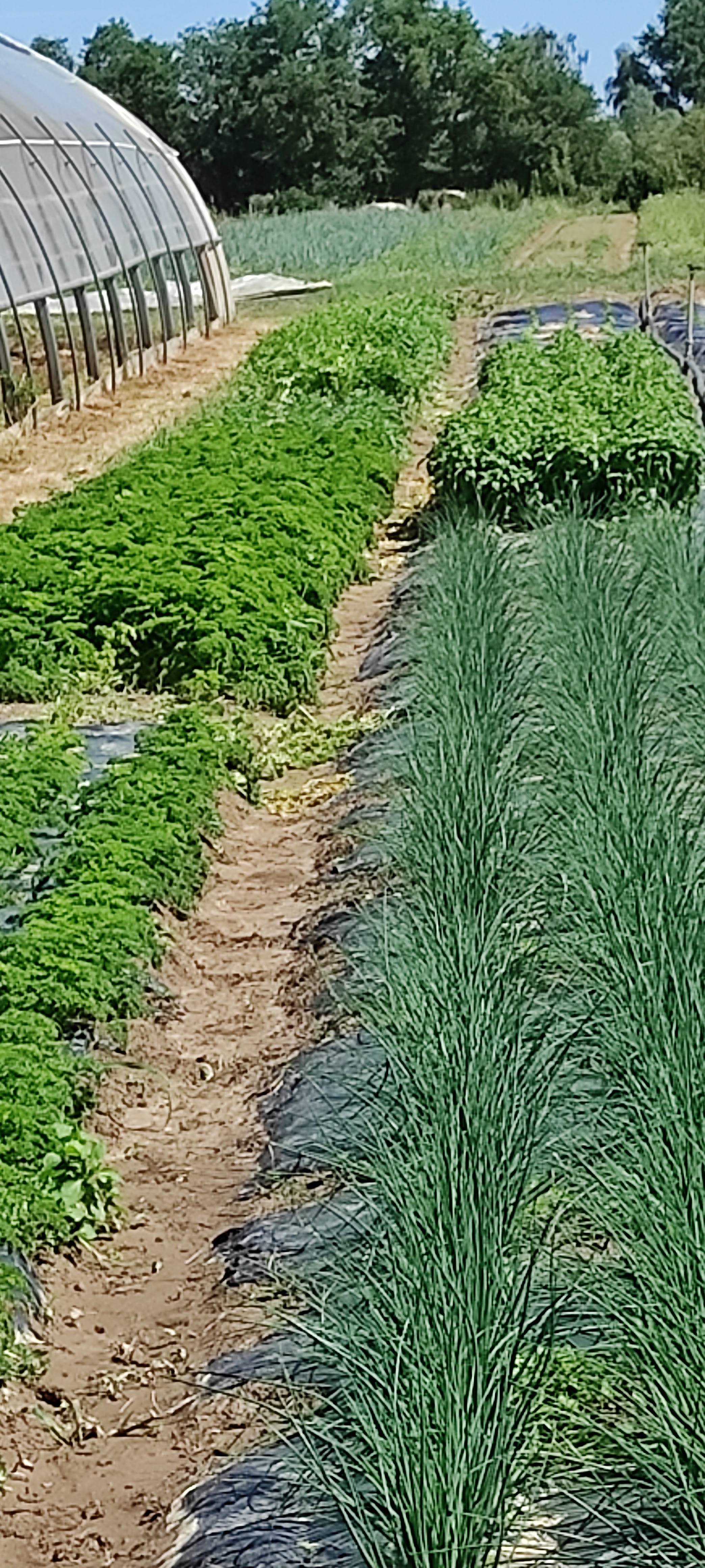Photo n° 1 de l'avis de Fabienne.E fait le 02/07/2022 à 15:41
