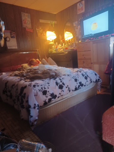 Convenience Store «7-Eleven», reviews and photos, 19825 Mountain Hwy E, Spanaway, WA 98387, USA