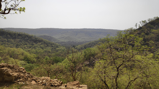 Sariska Tiger Reserve