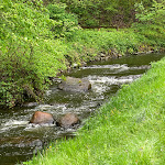 Photo n°2 de l'avis de Kerstin.. fait le 06/06/2021 à 19:24 sur le  Kupferhammer à Mixdorf