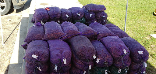 Seafood Market «Satsuma Seafood», reviews and photos, 29923 S Satsuma Rd, Livingston, LA 70754, USA