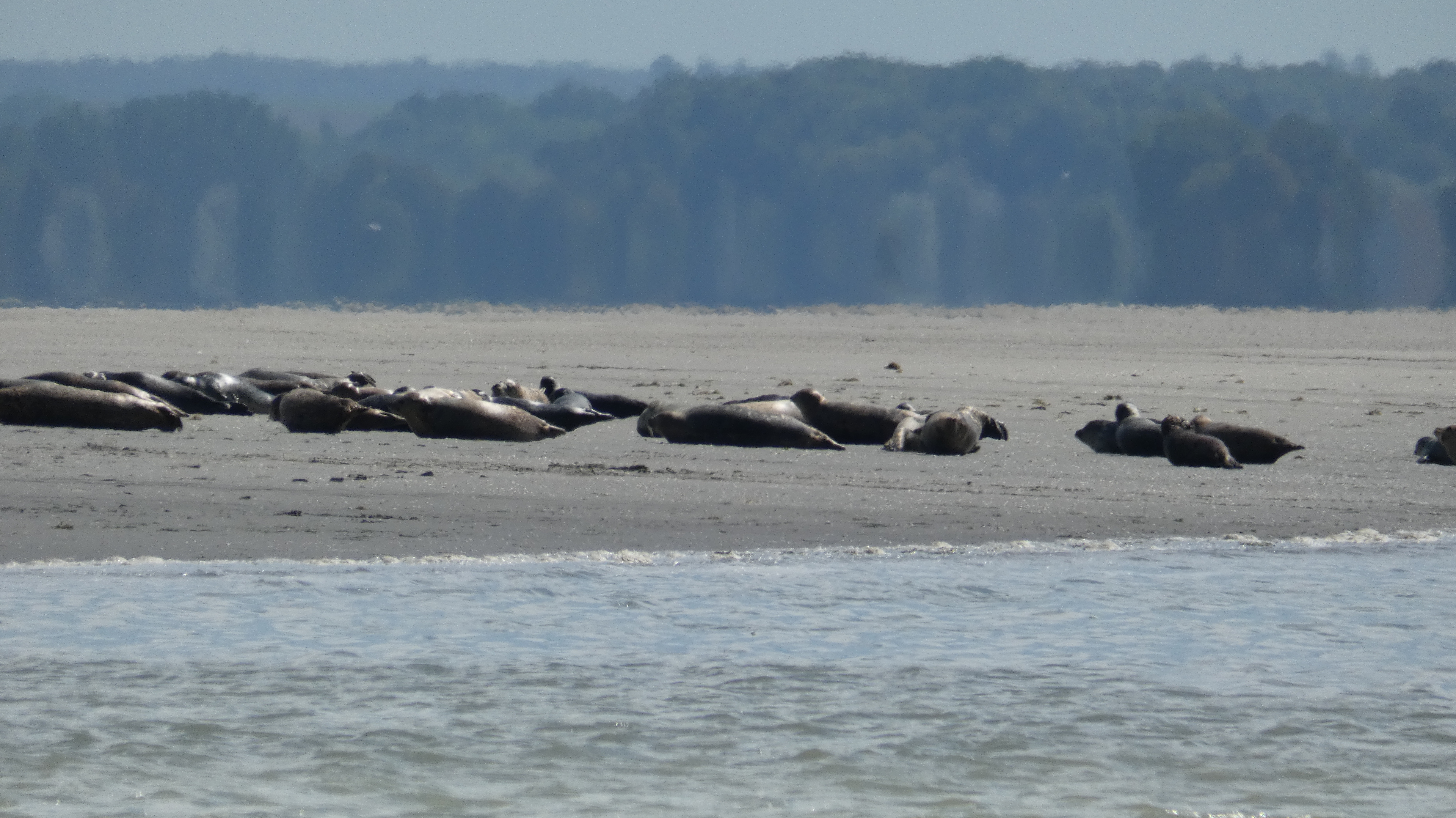 Photo n° 1 de l'avis de Marie.a fait le 31/08/2023 à 15:57