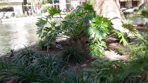 Art Museum «Briscoe Western Art Museum», reviews and photos, 210 W Market St, San Antonio, TX 78205, USA