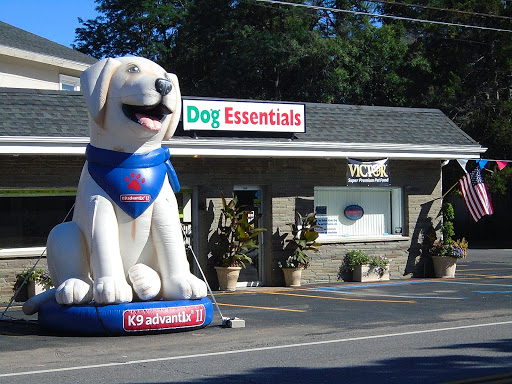 Dog Trainer «Dog Essentials, LLC», reviews and photos, 2948 Guilderland Ave, Rotterdam, NY 12306, USA