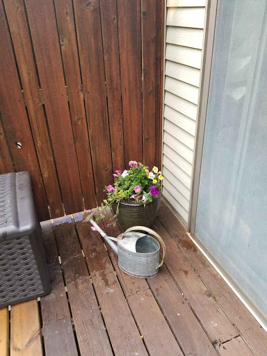 Donut Shop «The Donut Conspiracy», reviews and photos, 1971 E Beltline Ave NE #123, Grand Rapids, MI 49525, USA