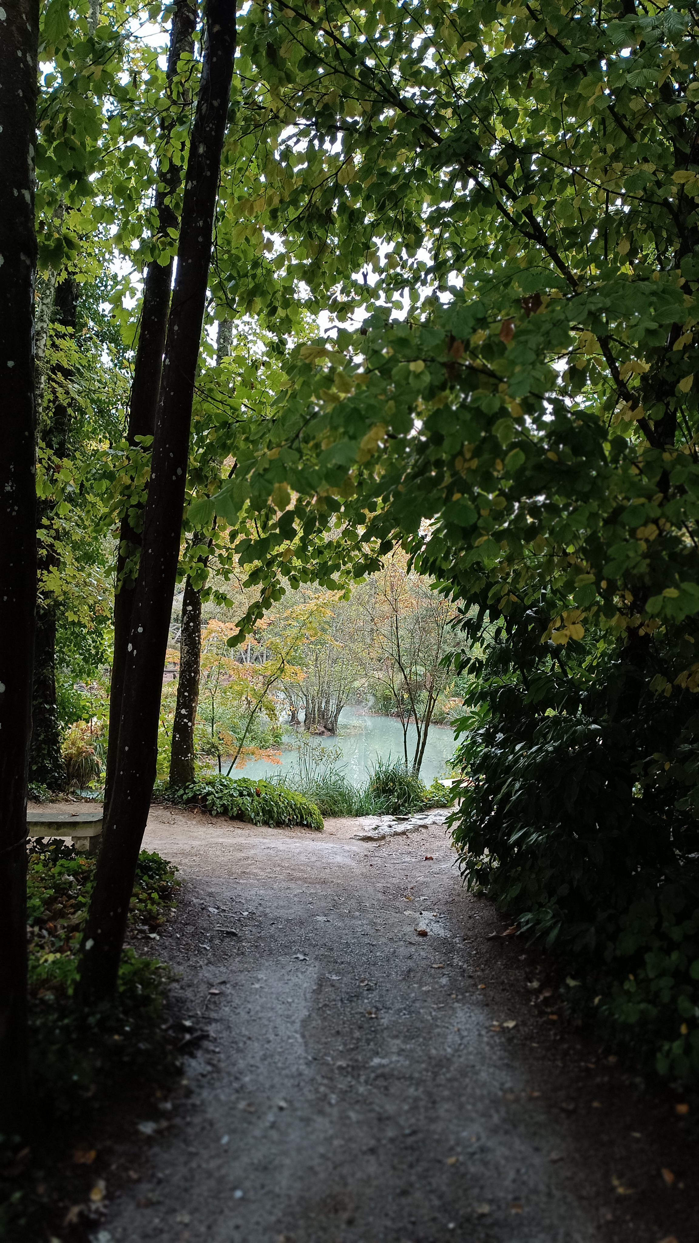 Photo n° 7 de l'avis de Delphine.r fait le 07/11/2023 à 11:49