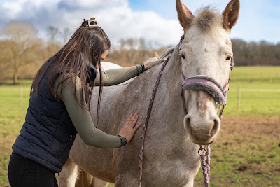 Ostéopathe animalier - Léa LEBLED *Chien Chat Cheval Bovin à Merlevenez