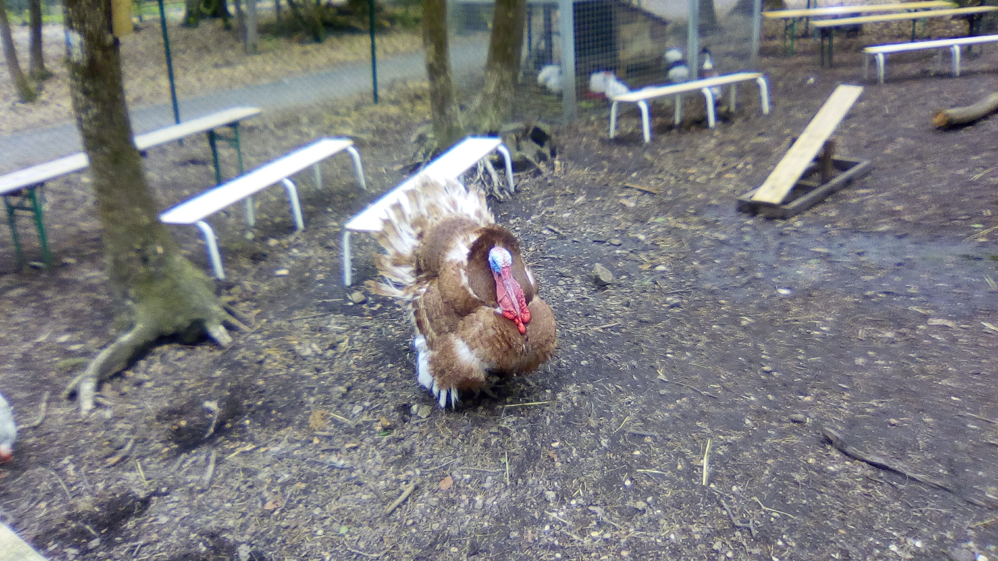 Photo n° 6 de l'avis de Marjorie.e fait le 30/04/2019 à 15:13