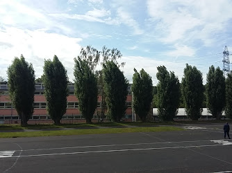 École Primaire Bruch