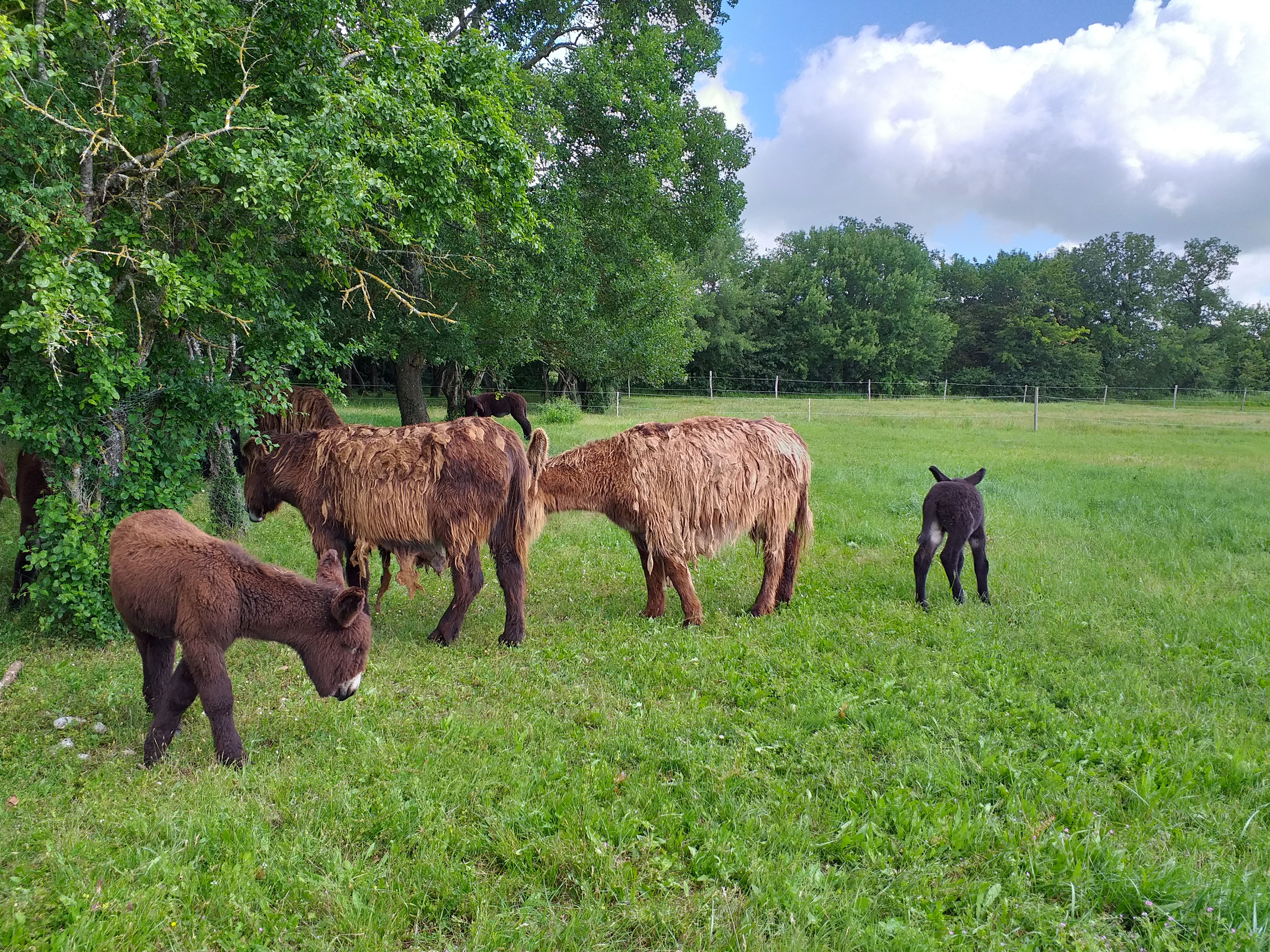 Photo n° 3 de l'avis de Cécile.o fait le 15/06/2019 à 11:54