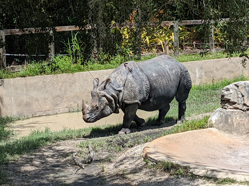 Zoo «Central Florida Zoo & Botanical Gardens», reviews and photos, 3755 NW Hwy 17-92, Sanford, FL 32771, USA