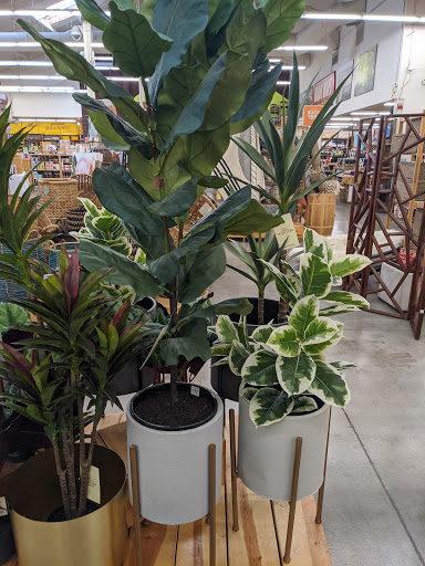 Furniture Store «Cost Plus World Market», reviews and photos, 3934 Bel Aire Plaza, Napa, CA 94558, USA