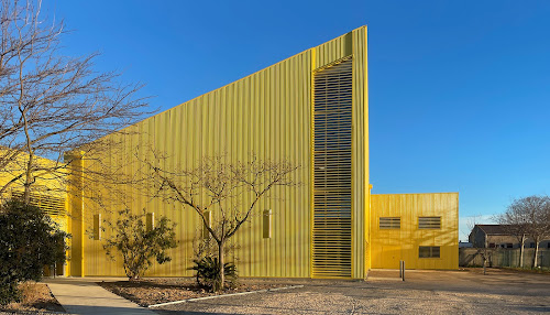 Le Citron Jaune à Port-Saint-Louis-du-Rhône