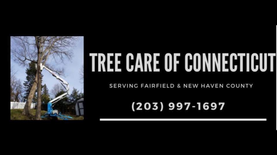 Tree Care of Connecticut