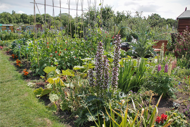 Reviews of Paddock Allotments & Leisure Gardens in London - Association