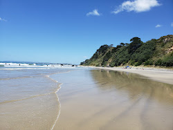 Photo de Newdicks Beach avec rivage droit, long