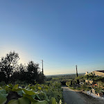 Photo n°3 de l'avis de Mislande.r fait le 08/09/2022 à 06:00 sur le  Agriturismo Villa Carducci à Castagneto Carducci