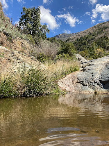 Comentarios y opiniones de ingreso a la Reserva Natural Altos de Cantillana