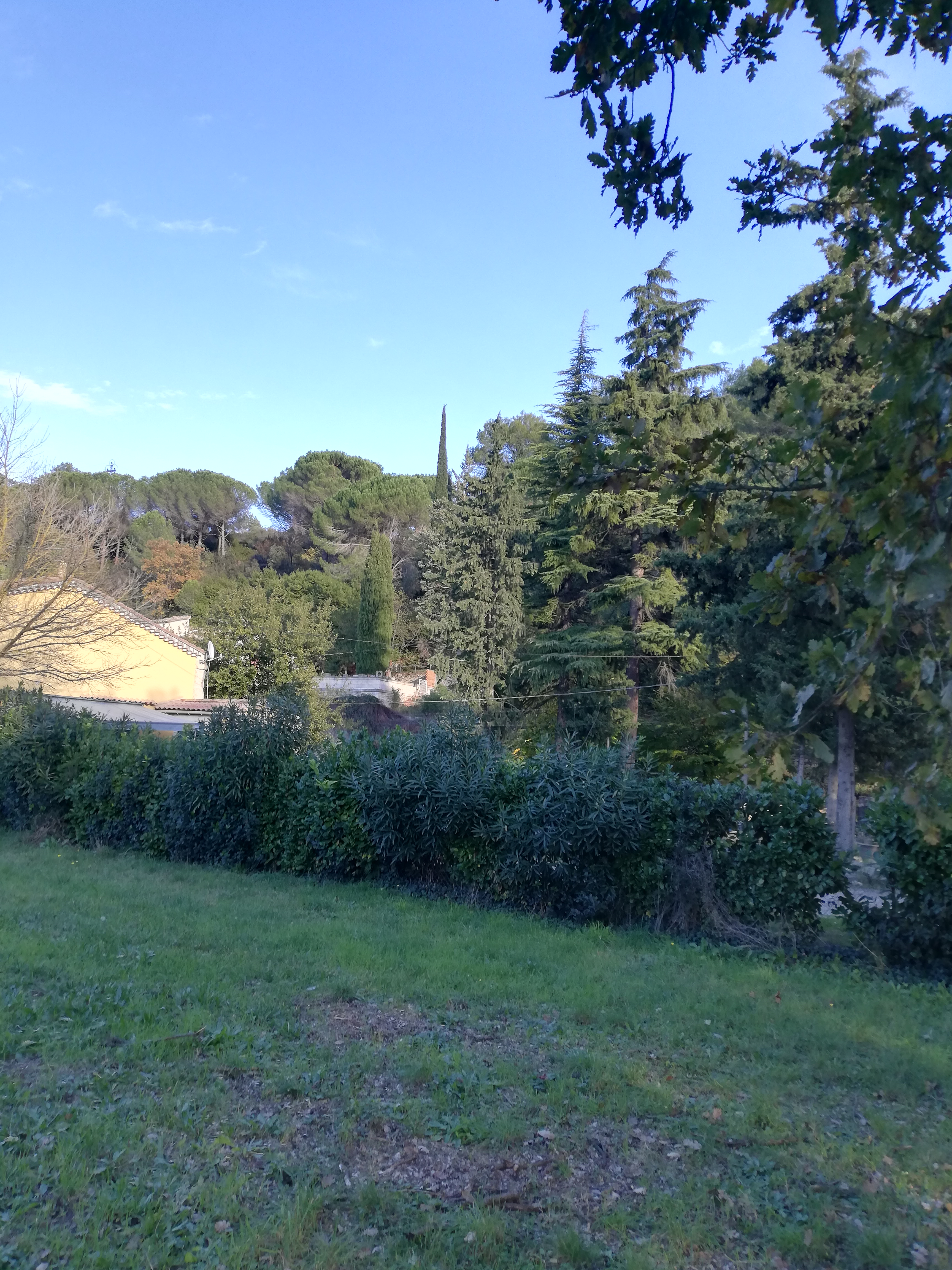 Photo n° 15 de l'avis de Oscéla.l fait le 23/11/2021 à 18:15