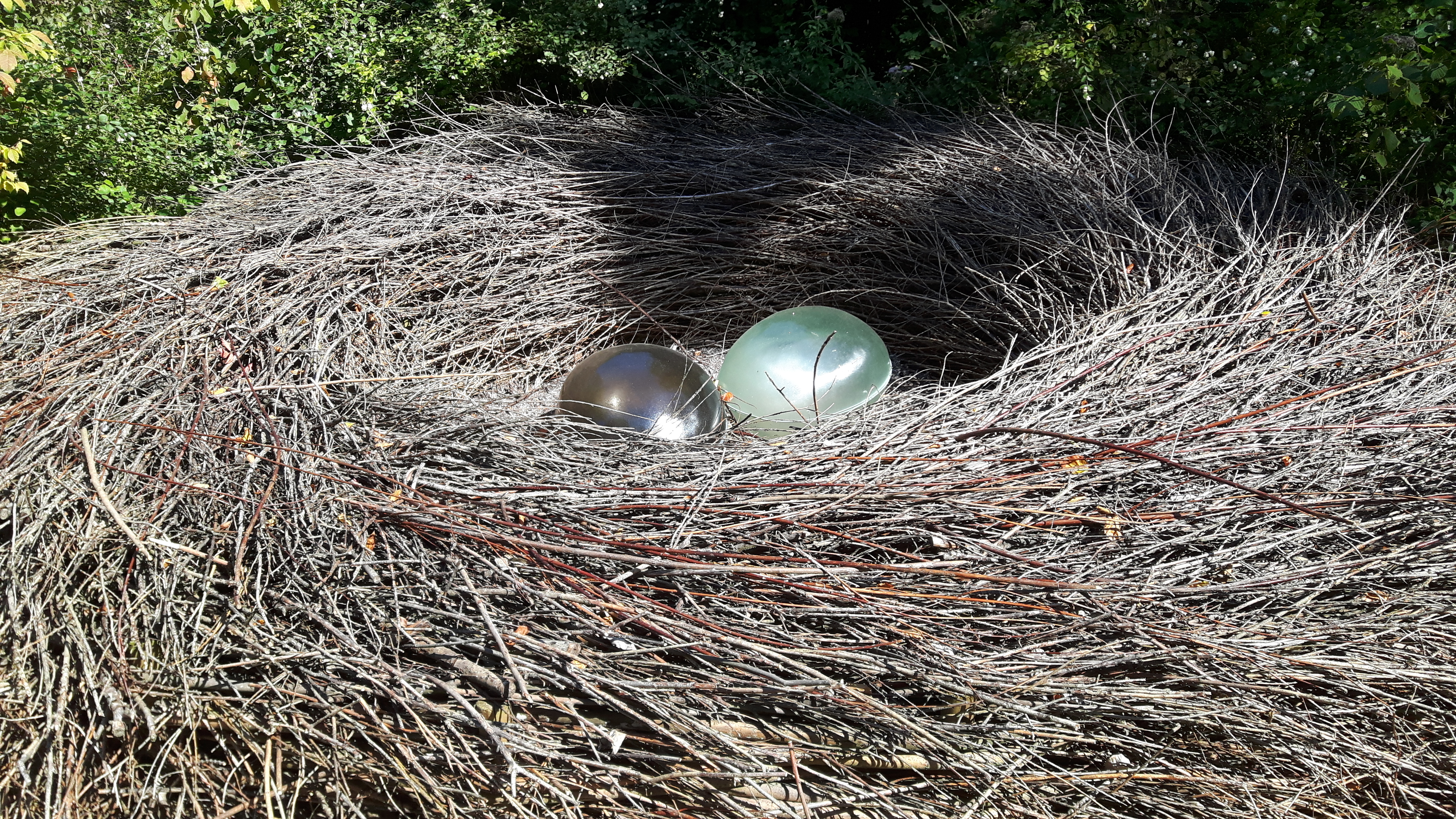 Photo n° 8 de l'avis de jonathan.r fait le 21/09/2019 à 14:34