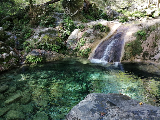 Parque La Estanzuela