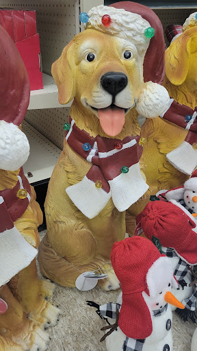 Discount Store «Big Lots», reviews and photos, 308 FL-312, St Augustine, FL 32086, USA