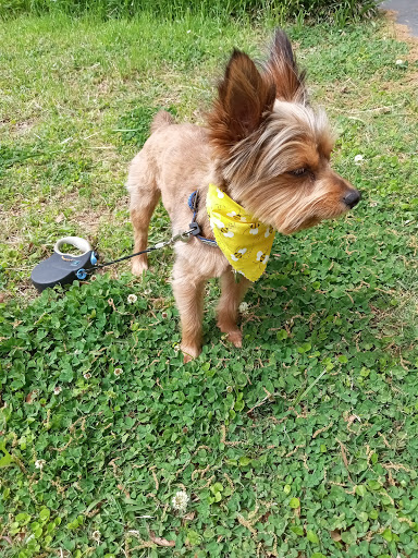 Pet Supply Store «Petsense Corinth», reviews and photos, 1663 Virginia Ln, Corinth, MS 38834, USA