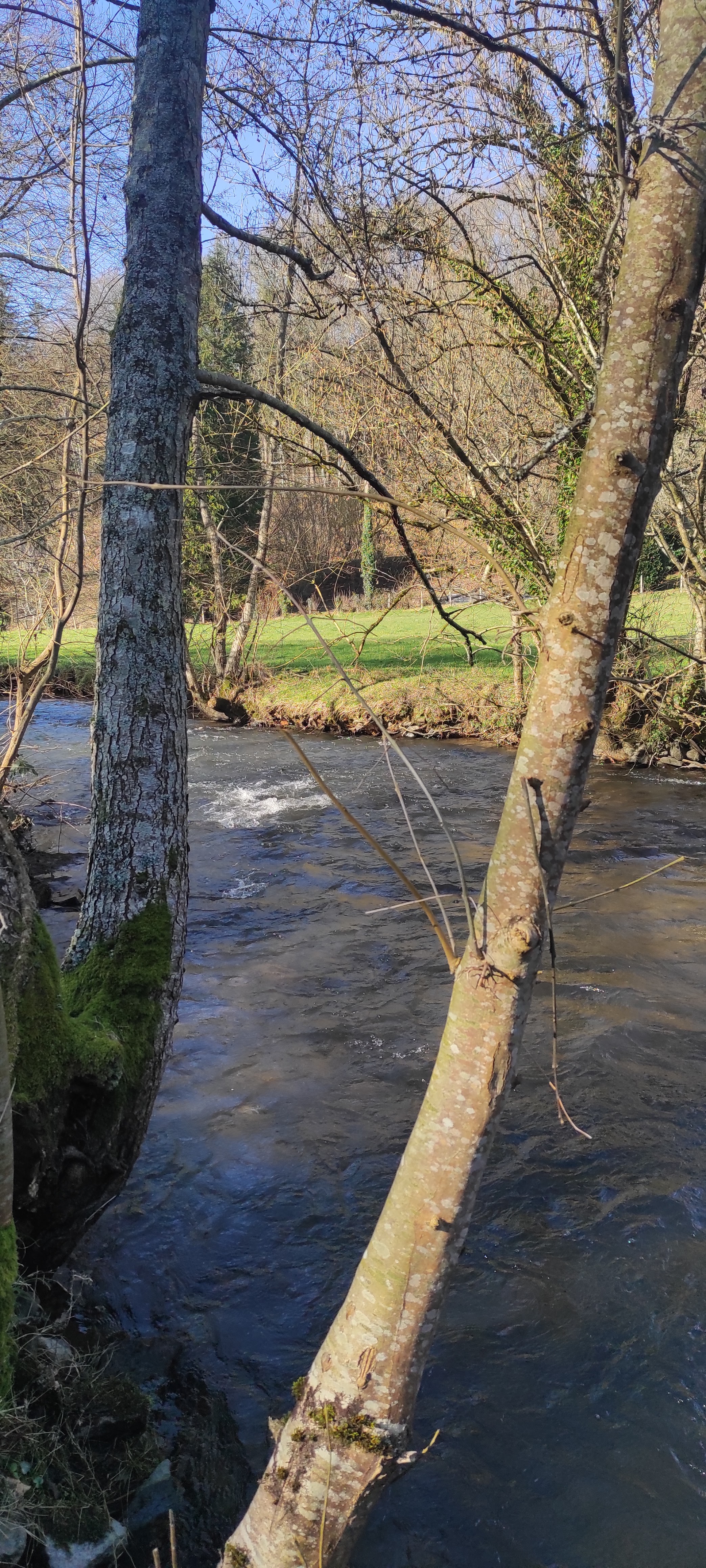 Photo n° 2 de l'avis de Laurence.o fait le 17/02/2023 à 20:20