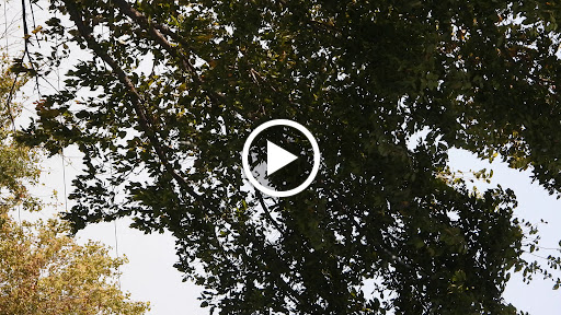 Museum «Tillamook Air Museum», reviews and photos, 6030 Hangar Rd, Tillamook, OR 97141, USA