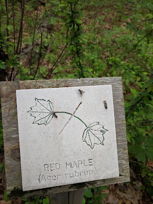Rockingham Historic Site - photo 17